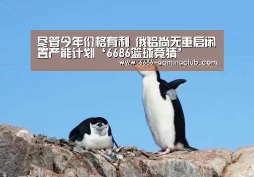 6686真人娱乐