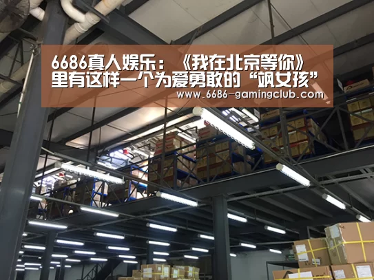 6686篮球竞猜